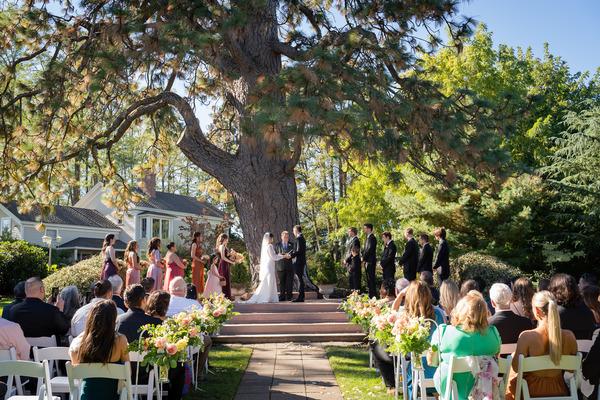 Backyard wedding under large tree