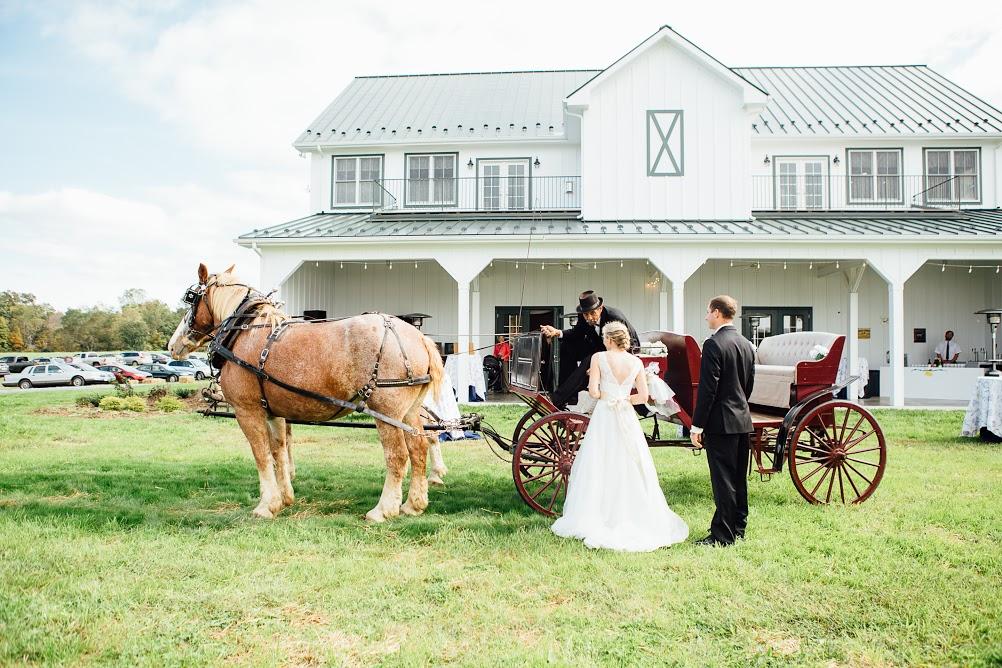 Horse and carriage wedding arrival