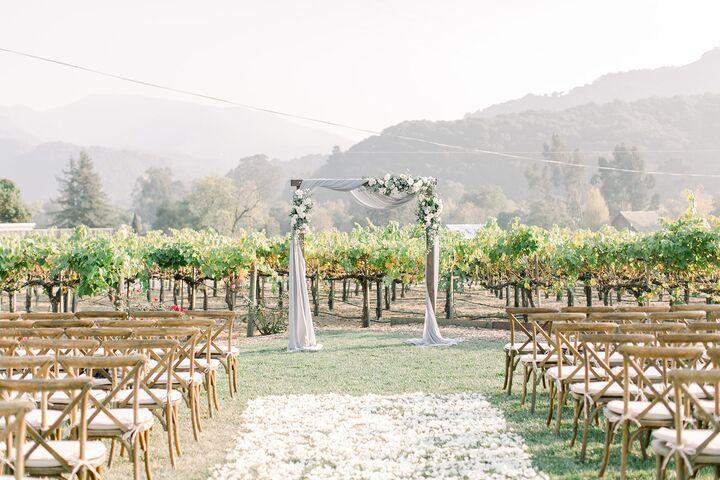 Vineyard wedding ceremony rows of vines